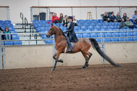 2019 Morgan Horse Show - Aug 31, 2019 - 19916
