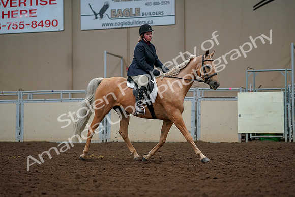 2019 Morgan Horse Show - Aug 30, 2019 - 22617