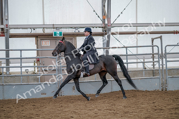 July 20, 2019 - 14478