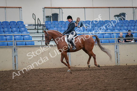 2019 Morgan Horse Show - Aug 30, 2019 - 16407