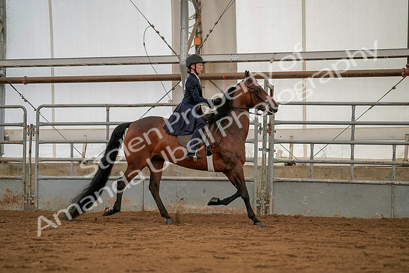 July 19, 2019 - 4032