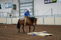 2020 - AB Morgan Horse - Fri, Sept 04 - 00223