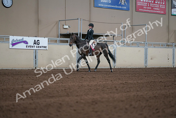 2019 Morgan Horse Show - Sept 01, 2019 - 03957