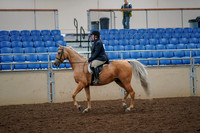 2019 Morgan Horse Show - Aug 30, 2019 - 22175