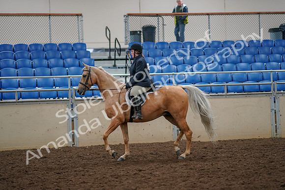 2019 Morgan Horse Show - Aug 30, 2019 - 22175
