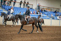 2020 - AB Morgan Horse - Sat, Sept 05 - 10602