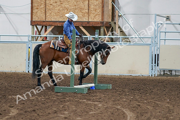 2020 - AB Morgan Horse - Fri, Sept 04 - 00255