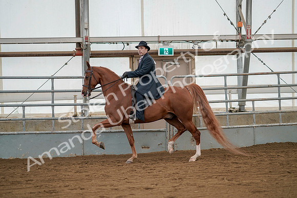 July 20, 2019 - 02100