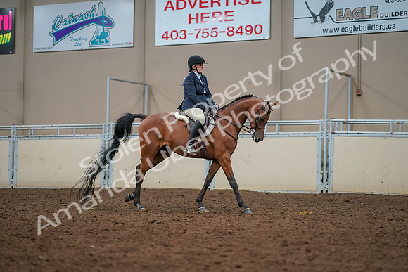 2019 Morgan Horse Show - Aug 30, 2019 - 22485