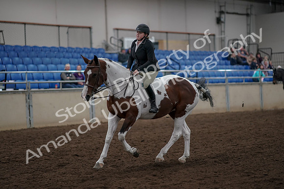 2019 Morgan Horse Show - Aug 30, 2019 - 31290