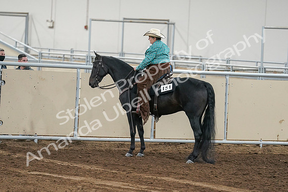 2020 - AB Morgan Horse - Fri, Sept 04 - 00651