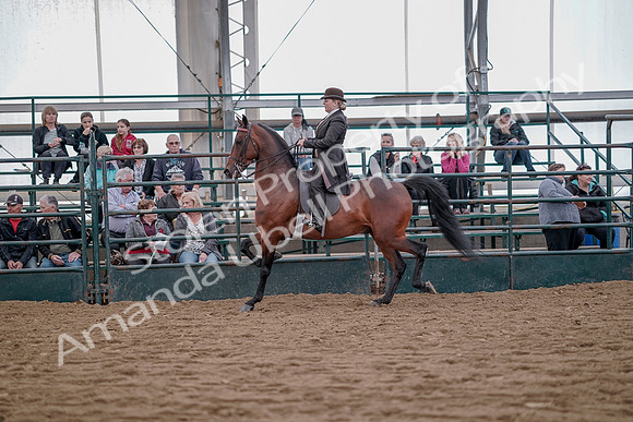 July 20, 2019 - 13882