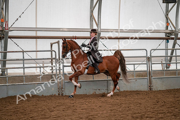 July 19, 2019 - 10332
