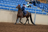 2020 - AB Morgan Horse - Fri, Sept 04 - 03631