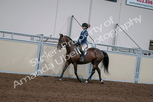2020 - AB Morgan Horse - Fri, Sept 04 - 05914