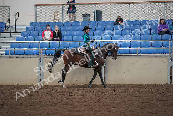 2019 Morgan Horse Show - Aug 30, 2019 - 26180