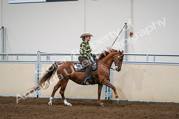 2020 - AB Morgan Horse - Sat, Sept 05 - 08930