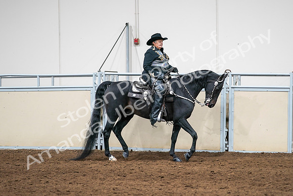 2020 - AB Morgan Horse - Sat, Sept 05 - 08943