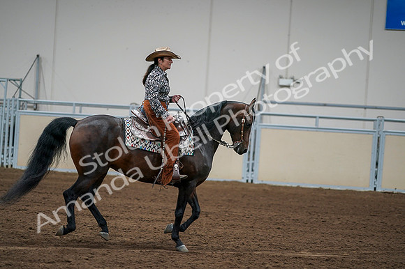 2020 - AB Morgan Horse - Fri, Sept 04 - 00335