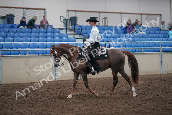 2019 Morgan Horse Show - Aug 31, 2019 - 14104