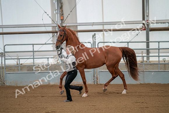 July 19, 2019 - 246