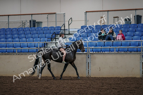 2019 Morgan Horse Show - Aug 30, 2019 - 31385