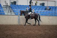 2019 Morgan Horse Show - Sept 01, 2019 - 09013