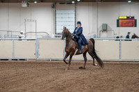 2020 - AB Morgan Horse - Fri, Sept 04 - 07856