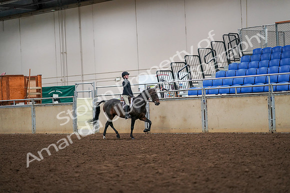 2019 Morgan Horse Show - Aug 30, 2019 - 12399