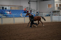2019 Morgan Horse Show - Aug 30, 2019 - 25533