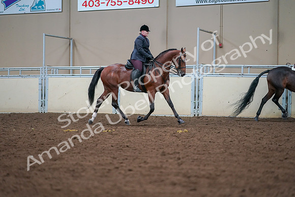 2019 Morgan Horse Show - Aug 30, 2019 - 20870