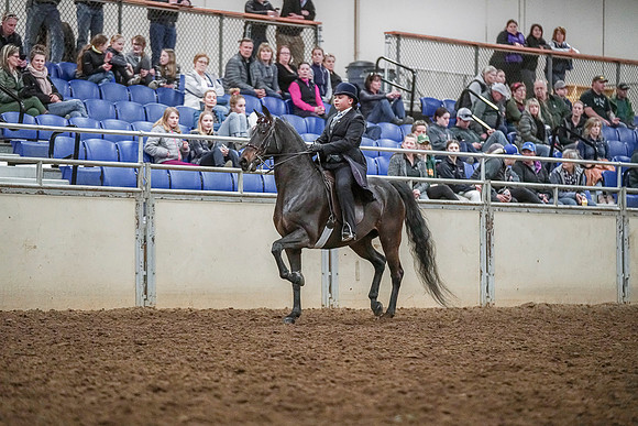 Spring Fling - Saturday - April 20, 2019  -  04292