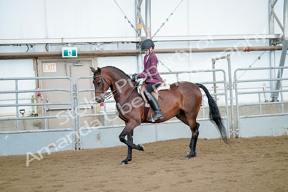 July 21, 2019 - 03246