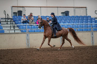2019 Morgan Horse Show - Aug 30, 2019 - 26763