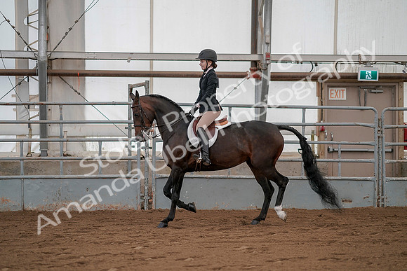July 19, 2019 - 2271