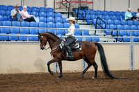 2020 - AB Morgan Horse - Sat, Sept 05 - 08884