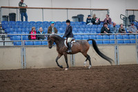 2019 Morgan Horse Show - Aug 31, 2019 - 15852