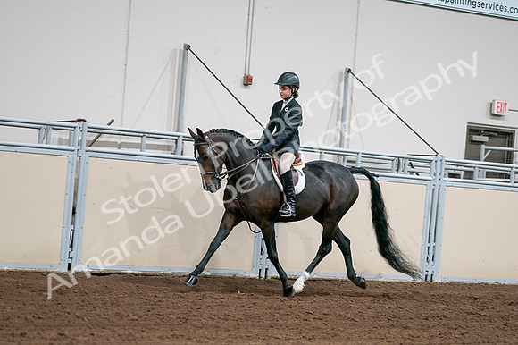 2020 - AB Morgan Horse - Fri, Sept 04 - 02014