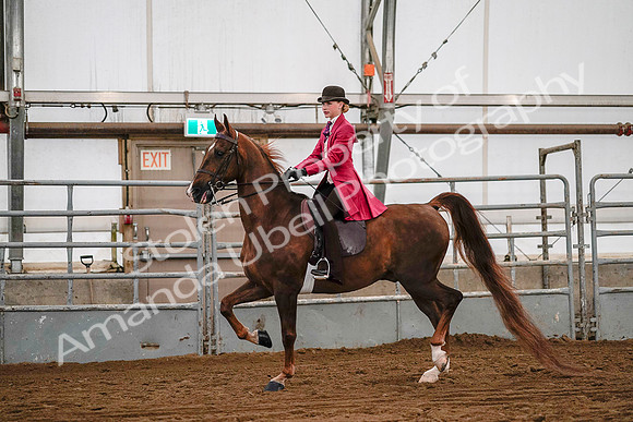 July 19, 2019 - 8737