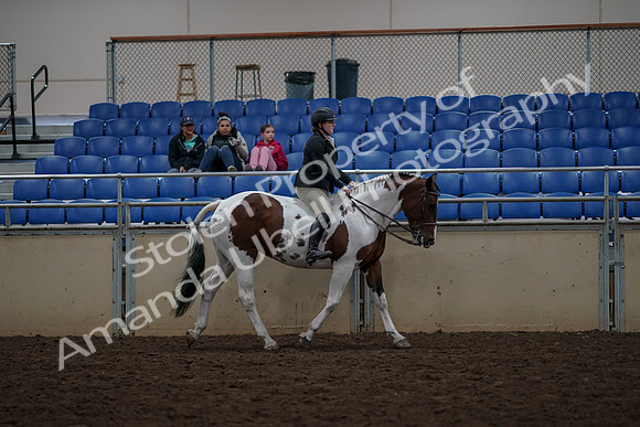 2019 Morgan Horse Show - Aug 30, 2019 - 31421
