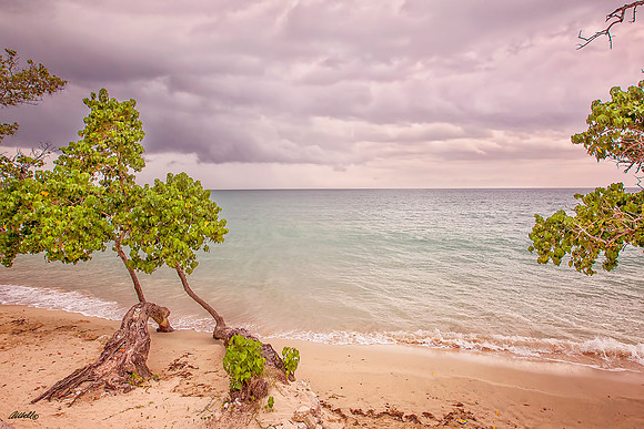 Jamaica - 144
