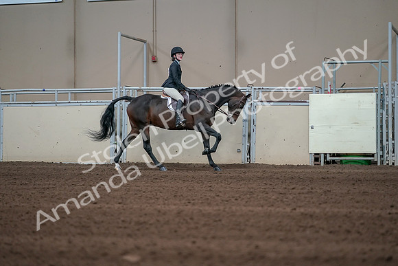 2019 Morgan Horse Show - Sept 01, 2019 - 03906