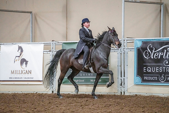 Spring Fling - Saturday - April 20, 2019  -  04246