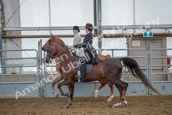 July 20, 2019 - 14601