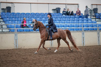 2019 Morgan Horse Show - Aug 31, 2019 - 16904