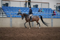 2019 Morgan Horse Show - Sept 01, 2019 - 08509