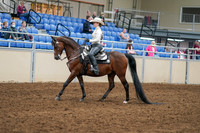 2020 - AB Morgan Horse - Sat, Sept 05 - 08874