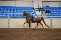 2020 - AB Morgan Horse - Sat, Sept 05 - 03324