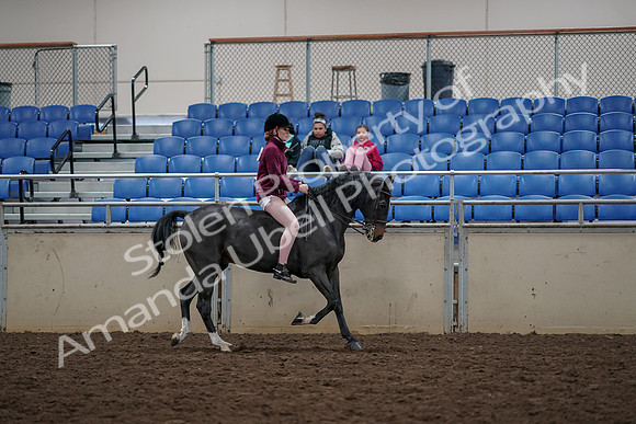 2019 Morgan Horse Show - Aug 30, 2019 - 31364