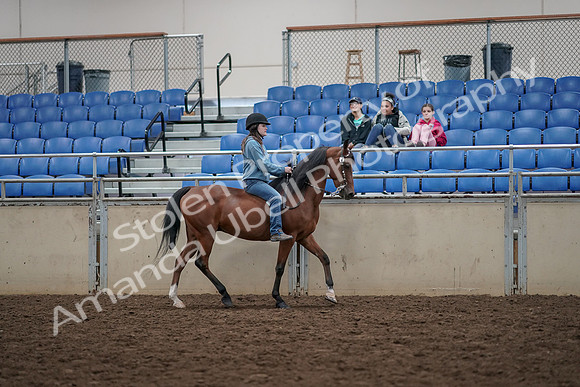2019 Morgan Horse Show - Aug 30, 2019 - 31346